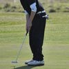 dancin-dogg-optishot-golf-simluator