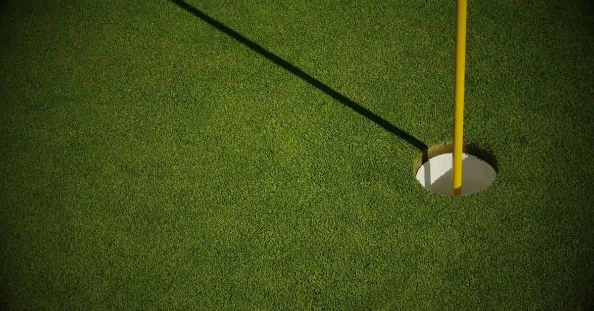 What is an Albatross in Golf?