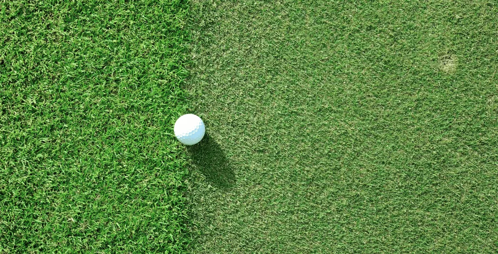 Golf Ball Sitting On Apron Fringe