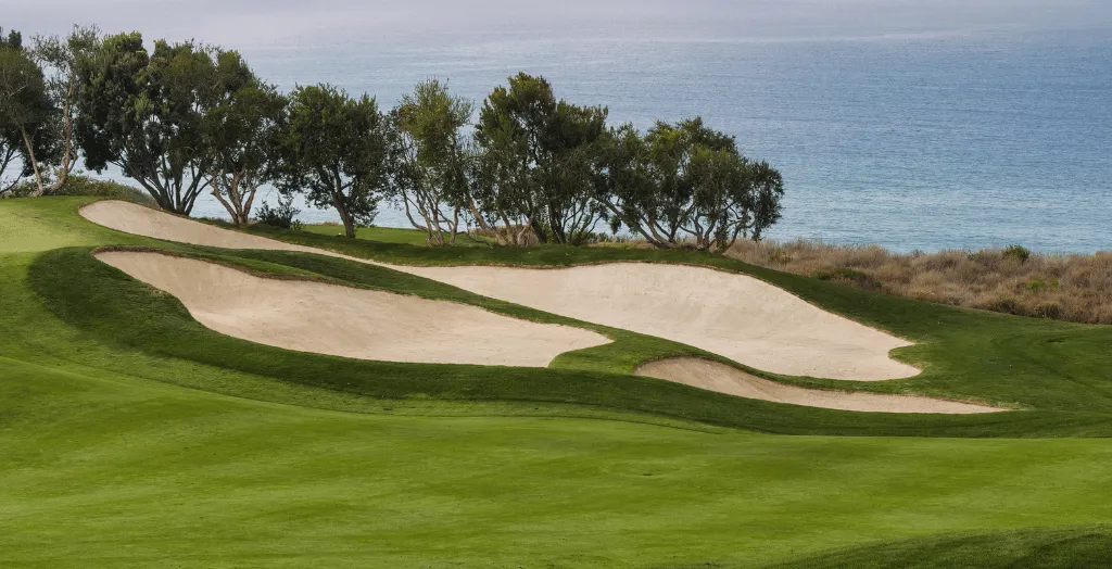 Sand Trap on a Golf Course