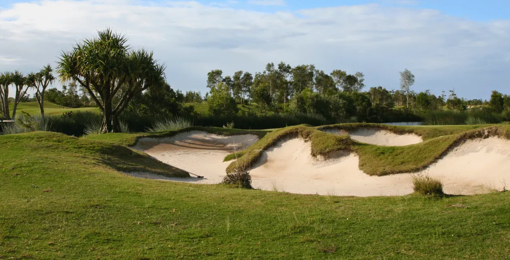 Cat Box aka Sand Bunker in Golf