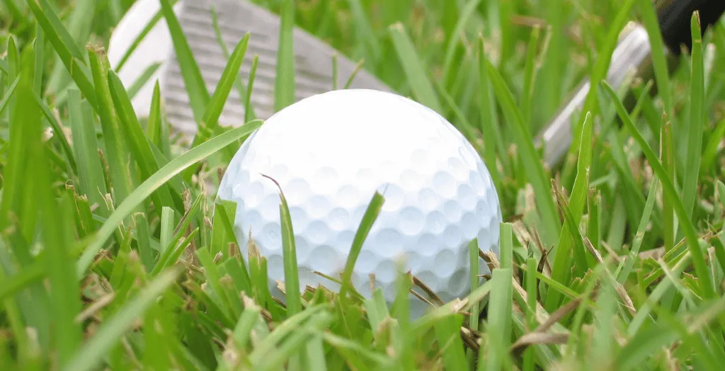 A golf ball in deep rough